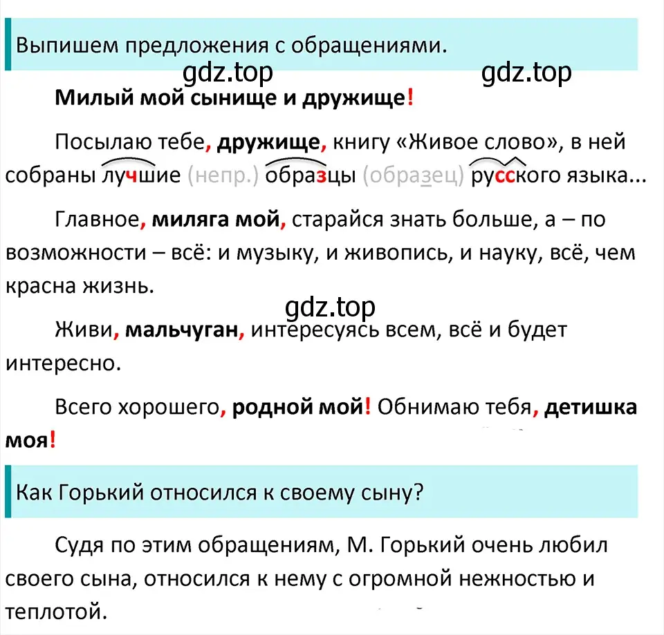 Решение 4. Номер 904 (страница 202) гдз по русскому языку 5 класс Ладыженская, Баранов, учебник 2 часть