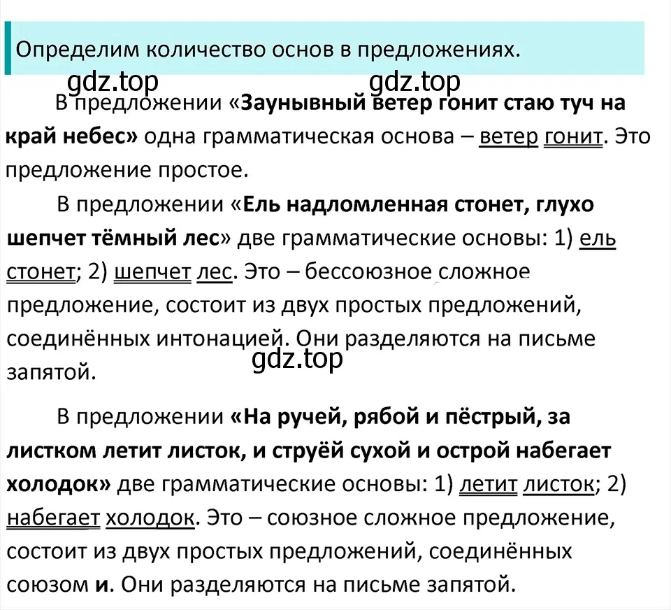 Решение 4. Номер 917 (страница 209) гдз по русскому языку 5 класс Ладыженская, Баранов, учебник 2 часть