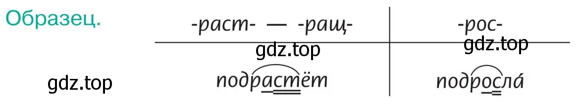 Записать в две колонки слова с вариантами корня раст, ращ, рос