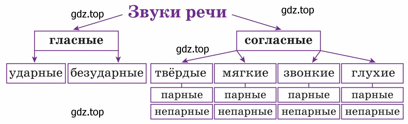 На какие группы и подгруппы делятся звуки в русском языке