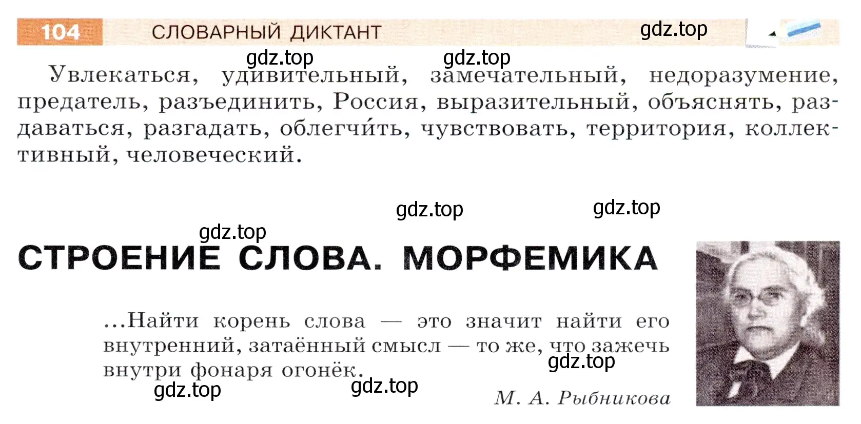 Условие номер 104 (страница 39) гдз по русскому языку 5 класс Разумовская, Львова, учебник 1 часть