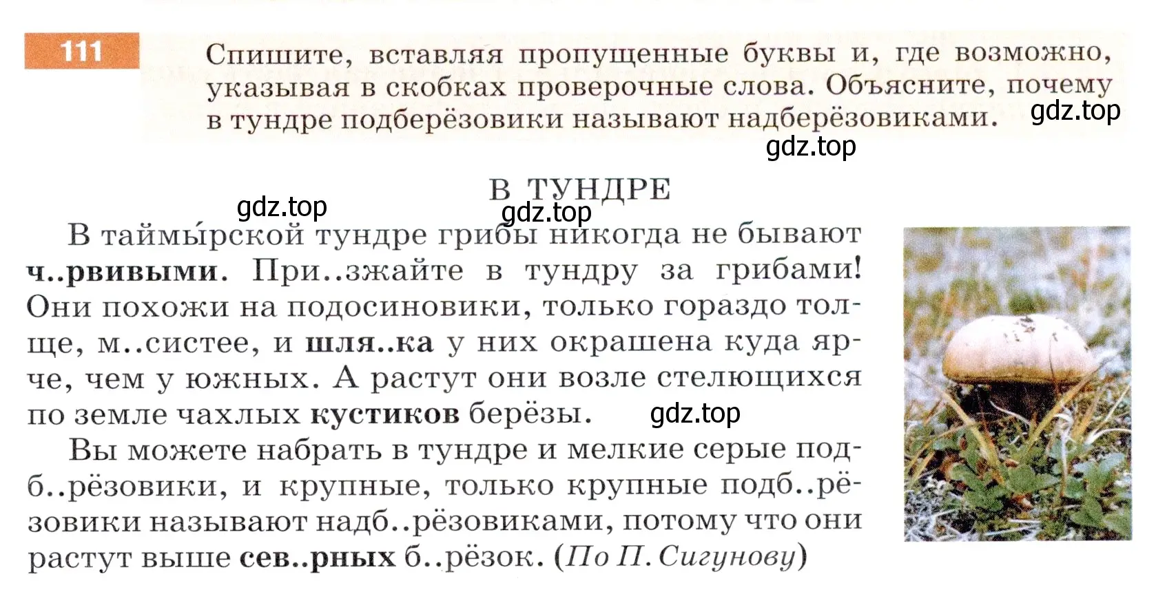 Условие номер 111 (страница 41) гдз по русскому языку 5 класс Разумовская, Львова, учебник 1 часть