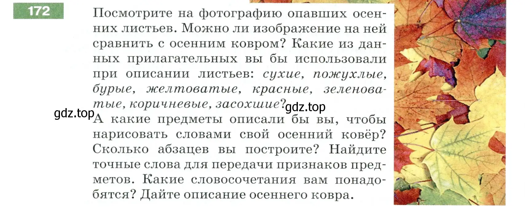 Условие номер 172 (страница 60) гдз по русскому языку 5 класс Разумовская, Львова, учебник 1 часть