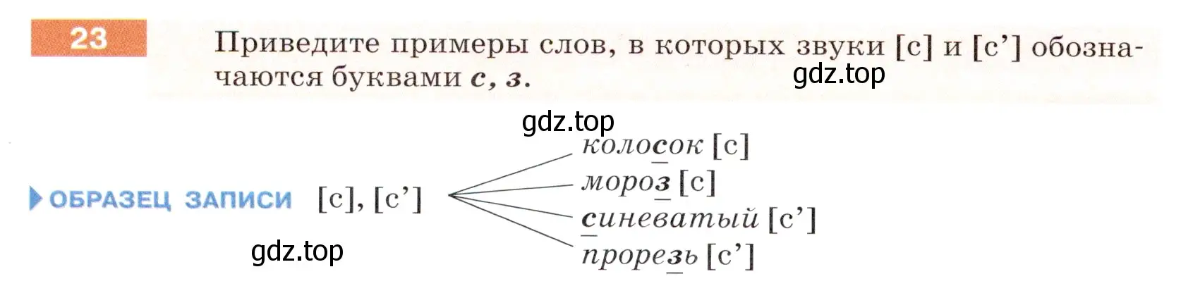 Условие номер 23 (страница 14) гдз по русскому языку 5 класс Разумовская, Львова, учебник 1 часть