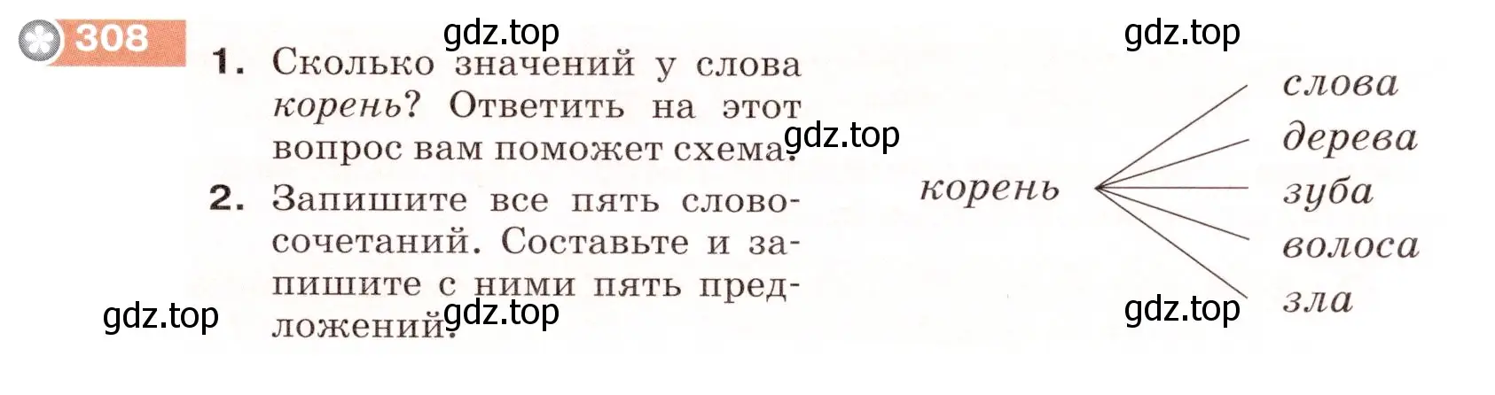 Условие номер 308 (страница 99) гдз по русскому языку 5 класс Разумовская, Львова, учебник 1 часть