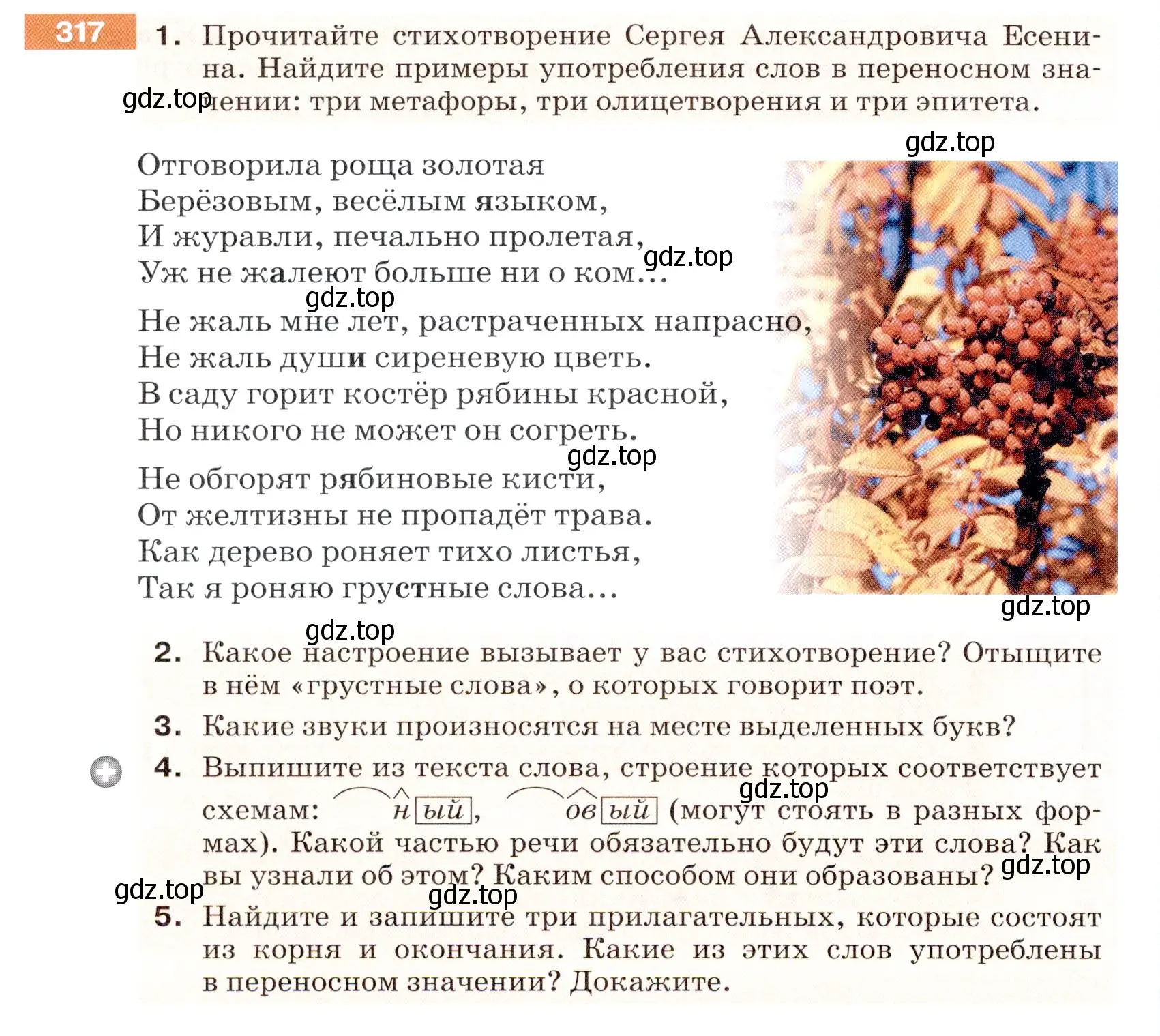 Условие номер 317 (страница 104) гдз по русскому языку 5 класс Разумовская, Львова, учебник 1 часть