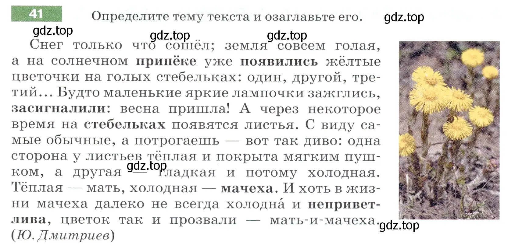 Условие номер 41 (страница 19) гдз по русскому языку 5 класс Разумовская, Львова, учебник 1 часть