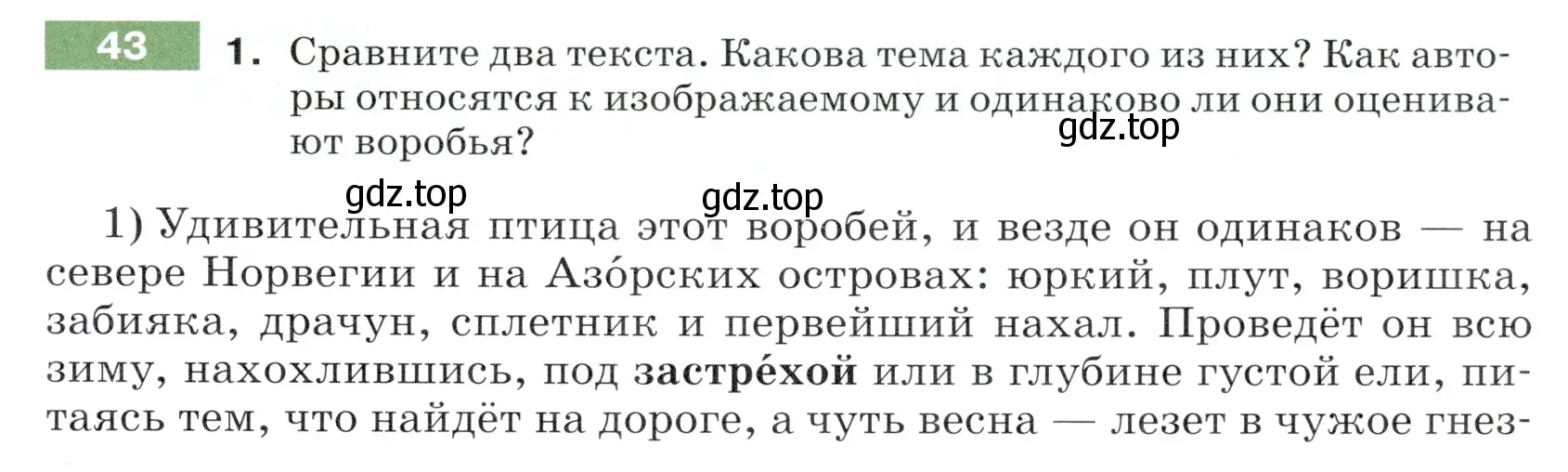 Условие номер 43 (страница 19) гдз по русскому языку 5 класс Разумовская, Львова, учебник 1 часть