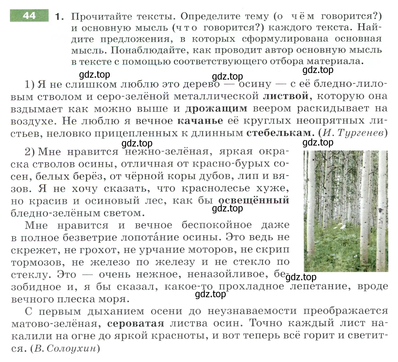 Условие номер 44 (страница 20) гдз по русскому языку 5 класс Разумовская, Львова, учебник 1 часть