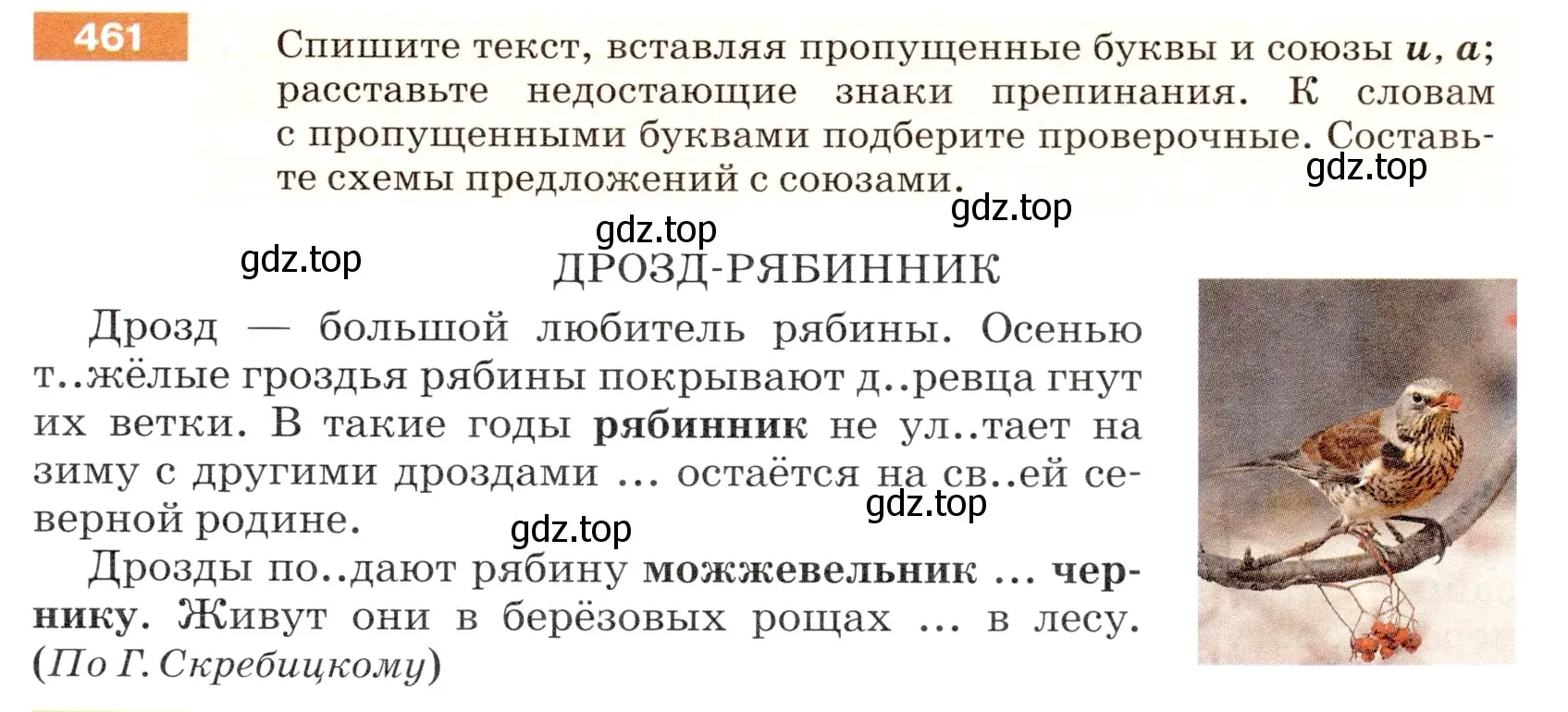 Условие номер 461 (страница 33) гдз по русскому языку 5 класс Разумовская, Львова, учебник 2 часть