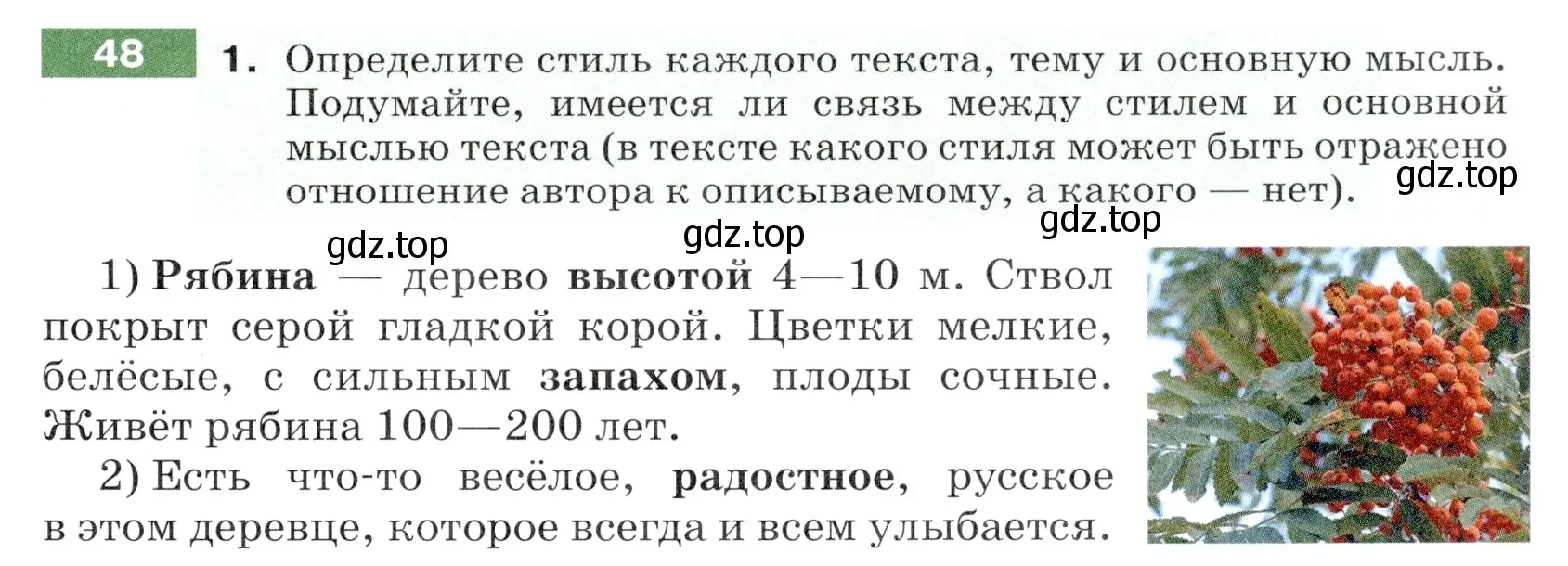 Условие номер 48 (страница 21) гдз по русскому языку 5 класс Разумовская, Львова, учебник 1 часть