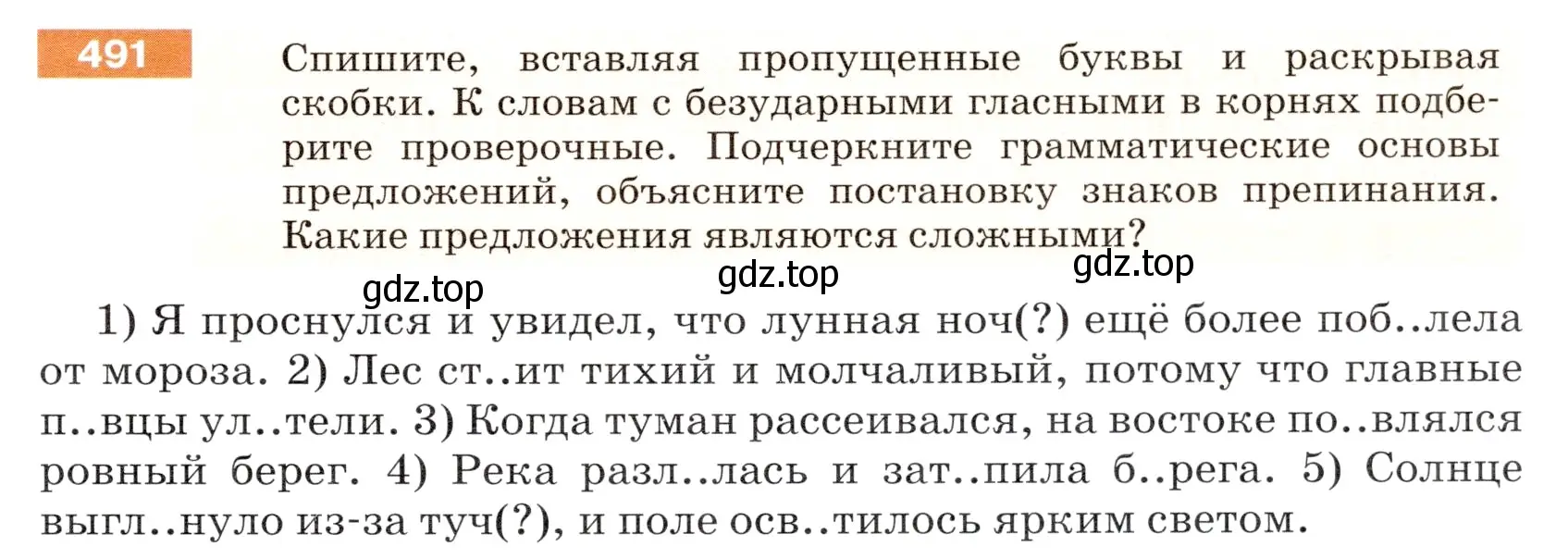 Условие номер 491 (страница 41) гдз по русскому языку 5 класс Разумовская, Львова, учебник 2 часть