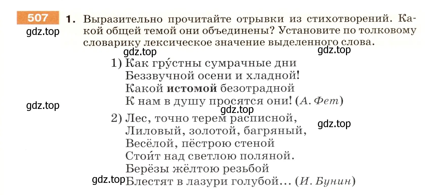 Условие номер 507 (страница 45) гдз по русскому языку 5 класс Разумовская, Львова, учебник 2 часть