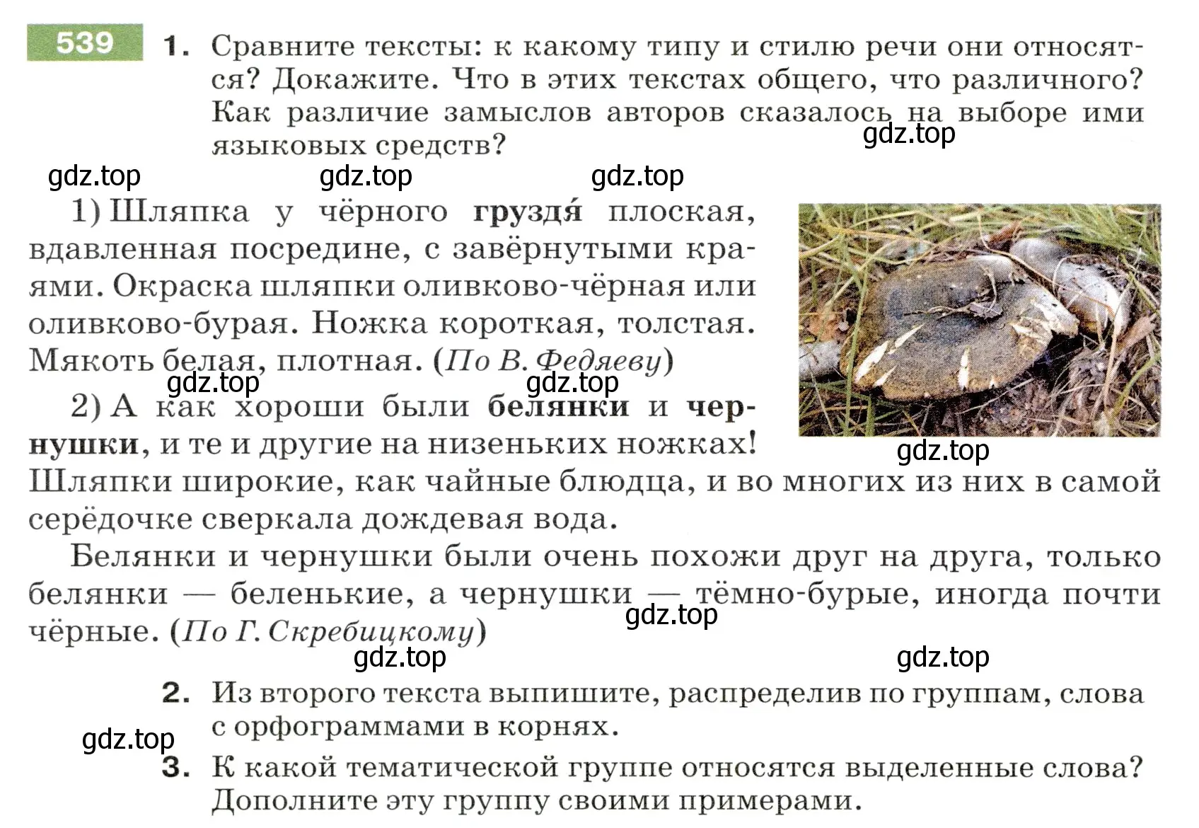 Условие номер 539 (страница 56) гдз по русскому языку 5 класс Разумовская, Львова, учебник 2 часть