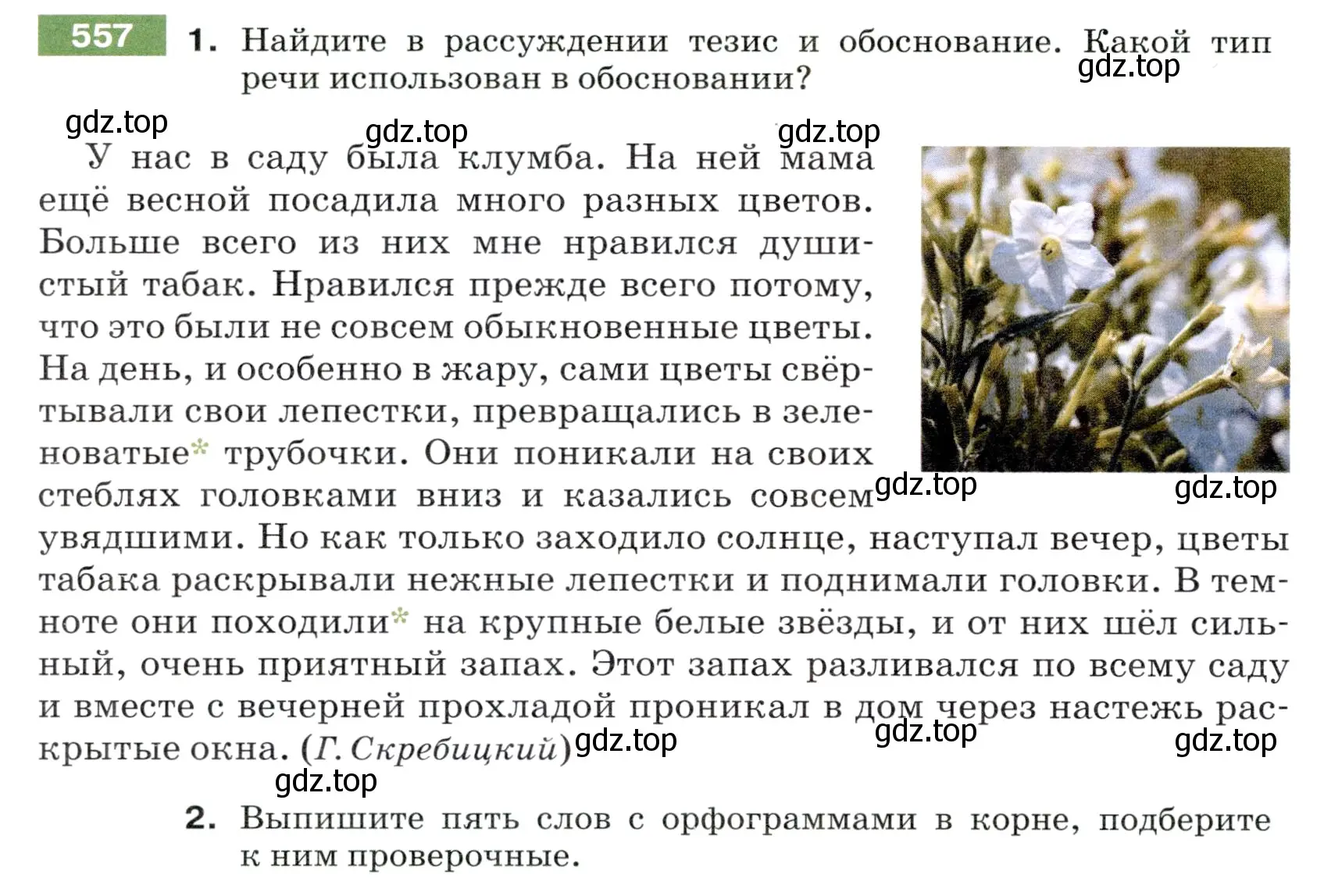 Условие номер 557 (страница 62) гдз по русскому языку 5 класс Разумовская, Львова, учебник 2 часть