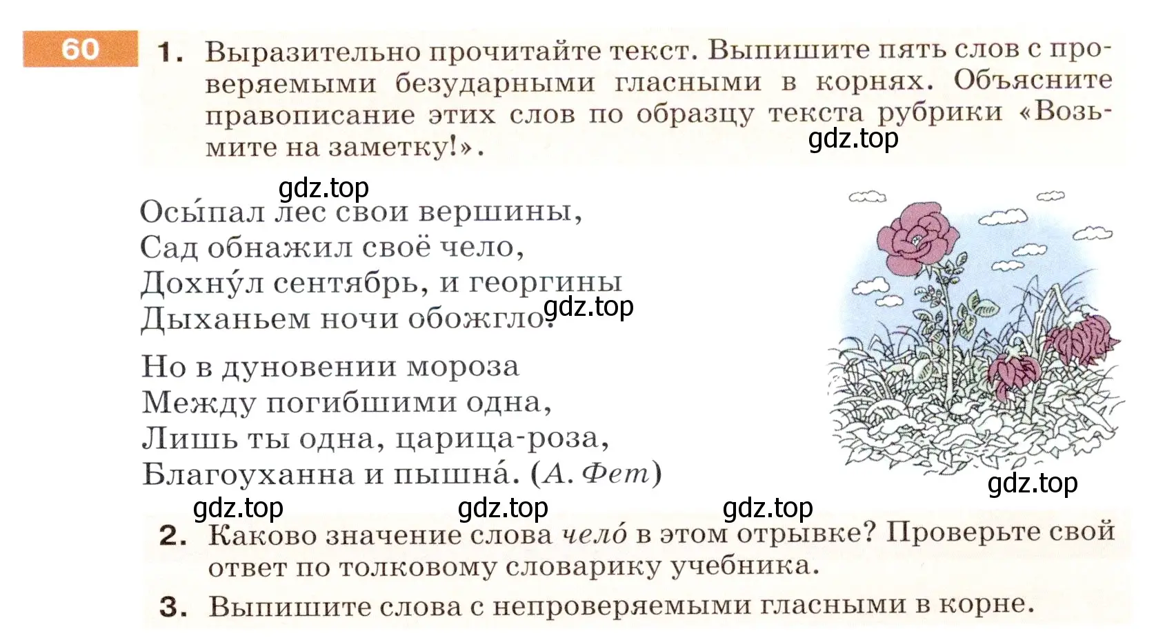 Условие номер 60 (страница 27) гдз по русскому языку 5 класс Разумовская, Львова, учебник 1 часть