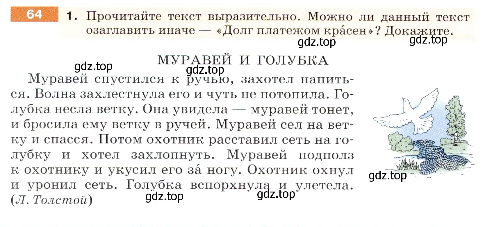 Условие номер 64 (страница 28) гдз по русскому языку 5 класс Разумовская, Львова, учебник 1 часть