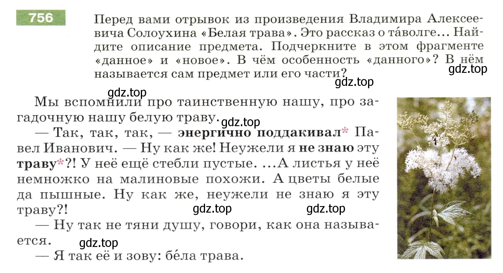 Условие номер 756 (страница 125) гдз по русскому языку 5 класс Разумовская, Львова, учебник 2 часть