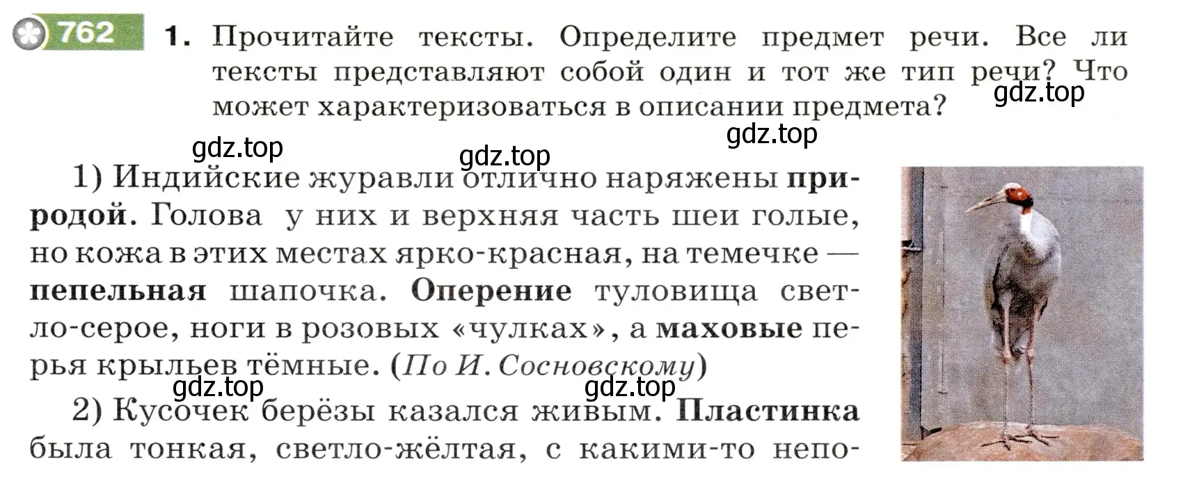 Условие номер 762 (страница 127) гдз по русскому языку 5 класс Разумовская, Львова, учебник 2 часть