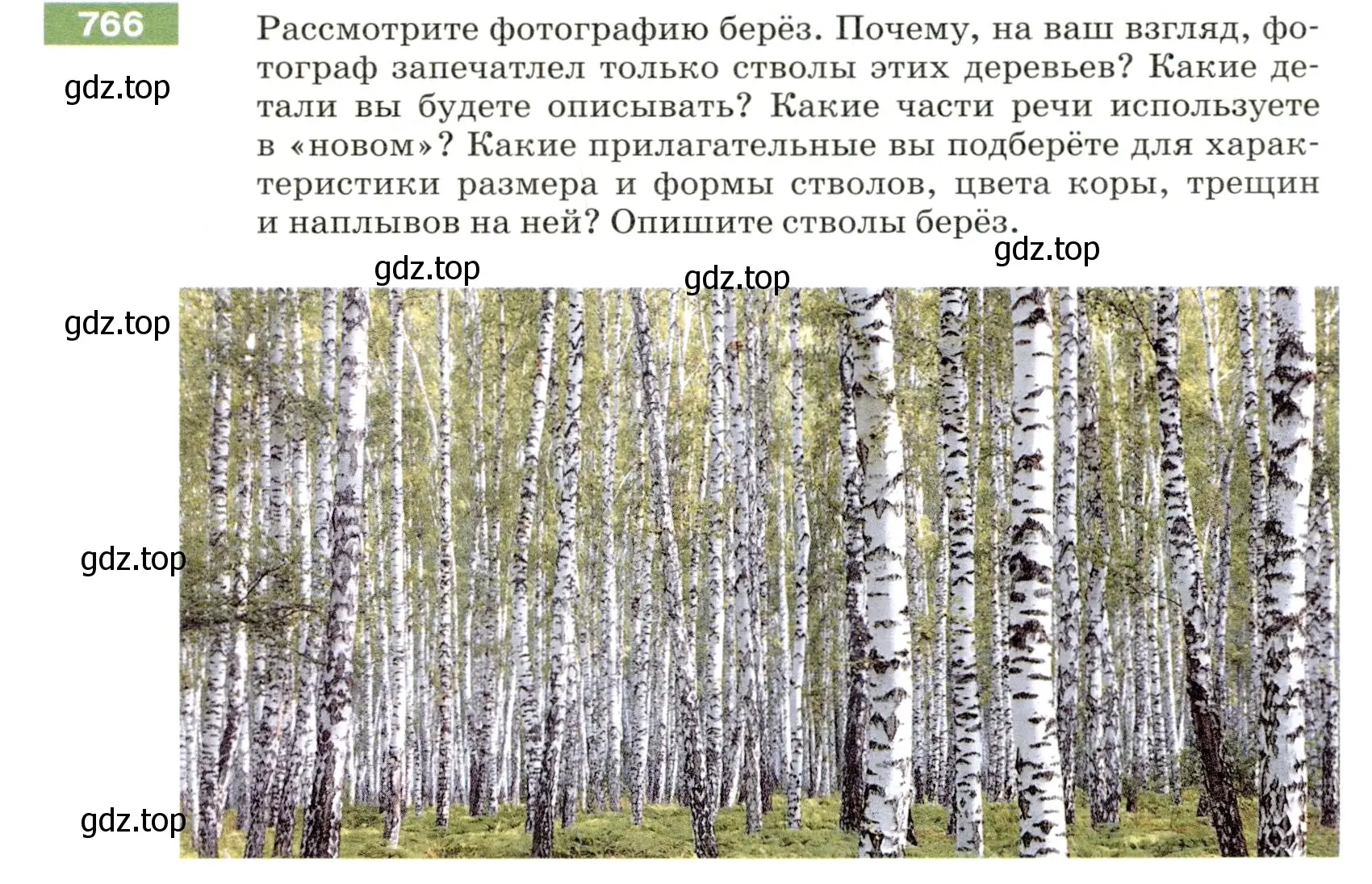 Условие номер 766 (страница 129) гдз по русскому языку 5 класс Разумовская, Львова, учебник 2 часть