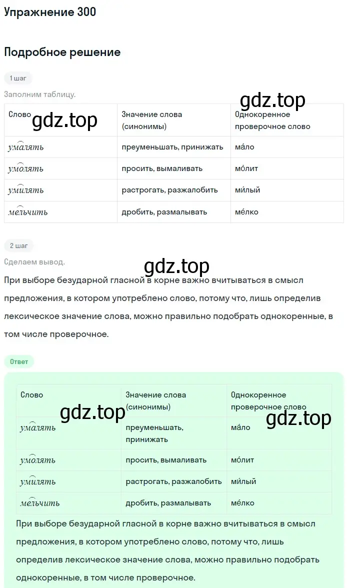 Решение номер 300 (страница 97) гдз по русскому языку 5 класс Разумовская, Львова, учебник 1 часть