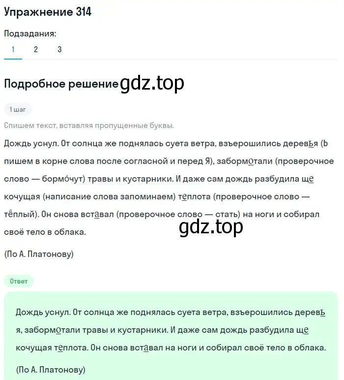 Решение номер 314 (страница 102) гдз по русскому языку 5 класс Разумовская, Львова, учебник 1 часть