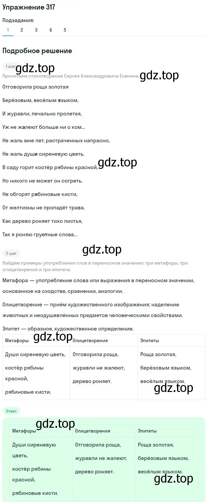 Решение номер 317 (страница 104) гдз по русскому языку 5 класс Разумовская, Львова, учебник 1 часть