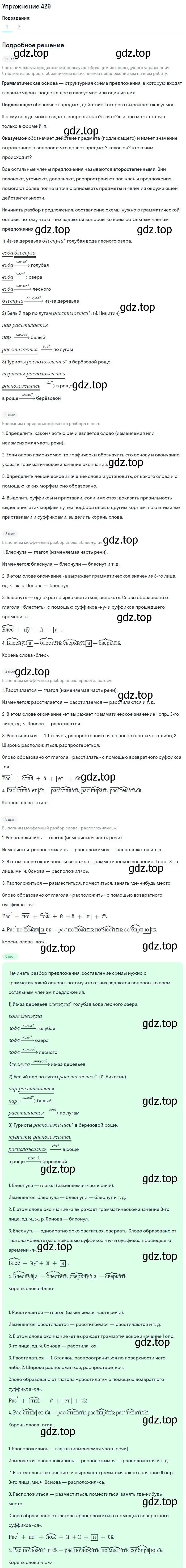 Решение номер 429 (страница 24) гдз по русскому языку 5 класс Разумовская, Львова, учебник 2 часть