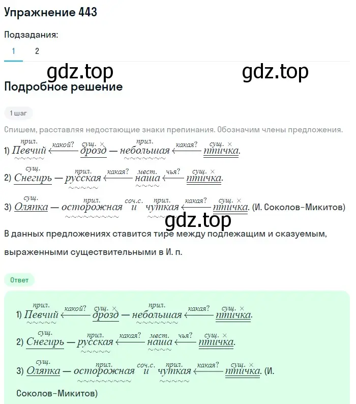 Решение номер 443 (страница 28) гдз по русскому языку 5 класс Разумовская, Львова, учебник 2 часть