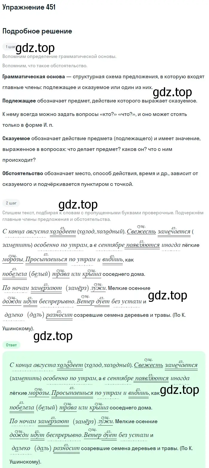 Решение номер 451 (страница 30) гдз по русскому языку 5 класс Разумовская, Львова, учебник 2 часть
