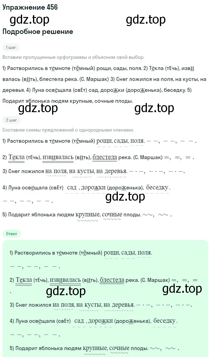 Решение номер 456 (страница 32) гдз по русскому языку 5 класс Разумовская, Львова, учебник 2 часть