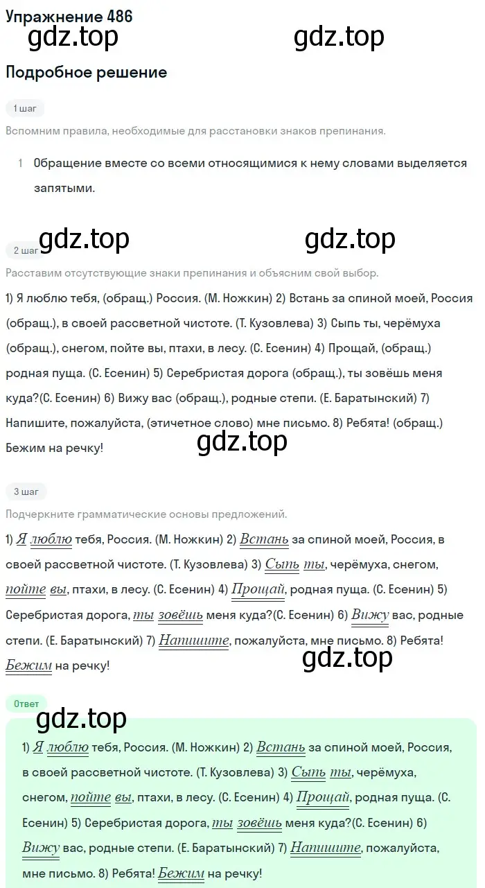Решение номер 486 (страница 39) гдз по русскому языку 5 класс Разумовская, Львова, учебник 2 часть
