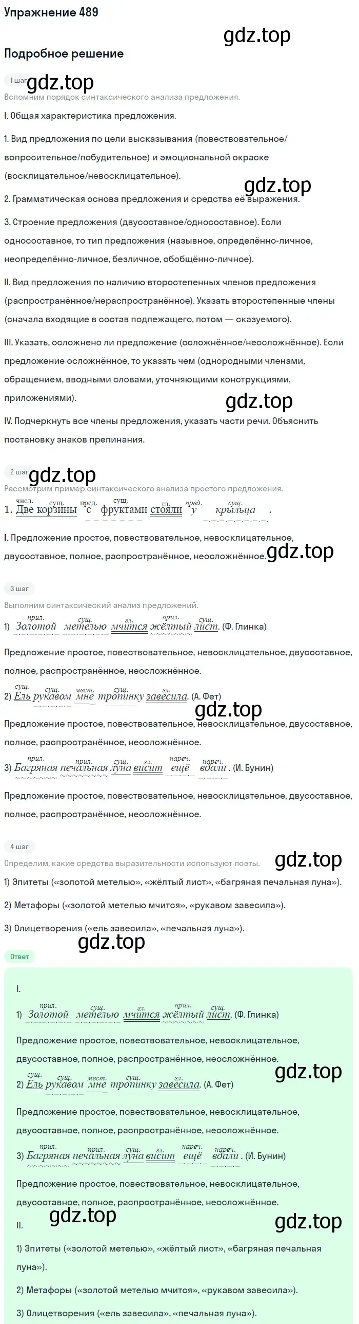 Решение номер 489 (страница 40) гдз по русскому языку 5 класс Разумовская, Львова, учебник 2 часть