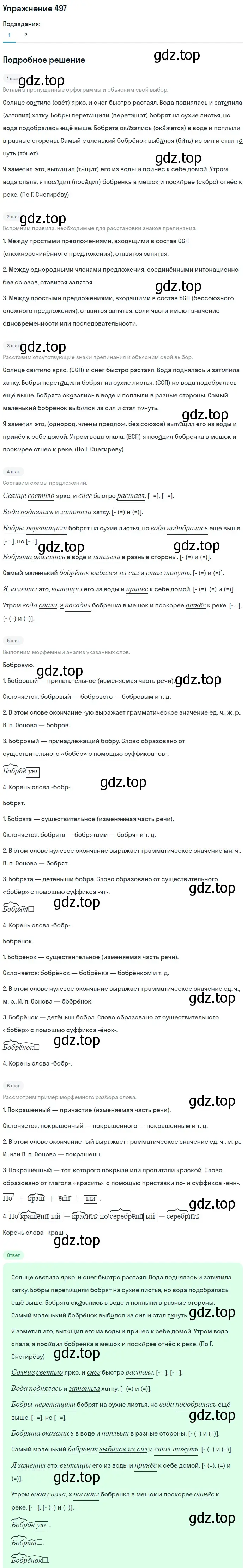 Решение номер 497 (страница 43) гдз по русскому языку 5 класс Разумовская, Львова, учебник 2 часть