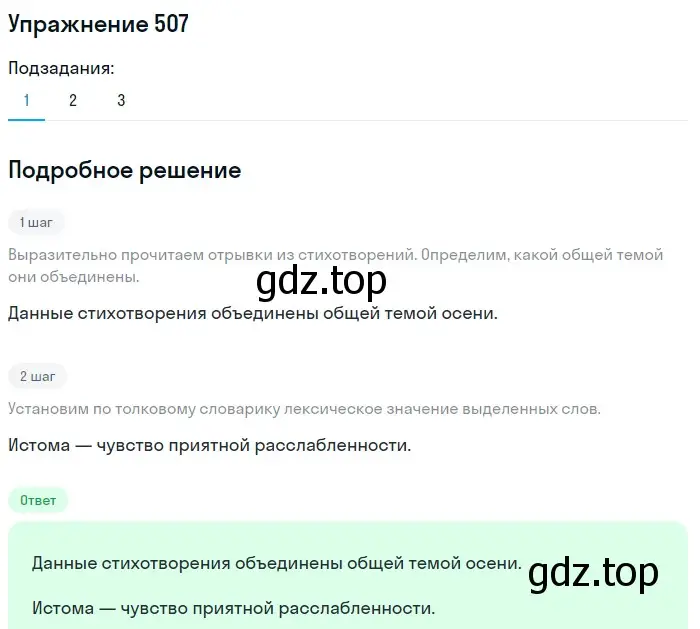 Решение номер 507 (страница 45) гдз по русскому языку 5 класс Разумовская, Львова, учебник 2 часть