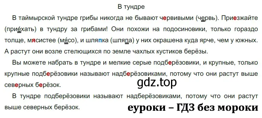 Решение 2. номер 111 (страница 41) гдз по русскому языку 5 класс Разумовская, Львова, учебник 1 часть