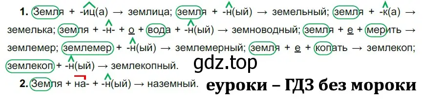 Решение 2. номер 309 (страница 100) гдз по русскому языку 5 класс Разумовская, Львова, учебник 1 часть