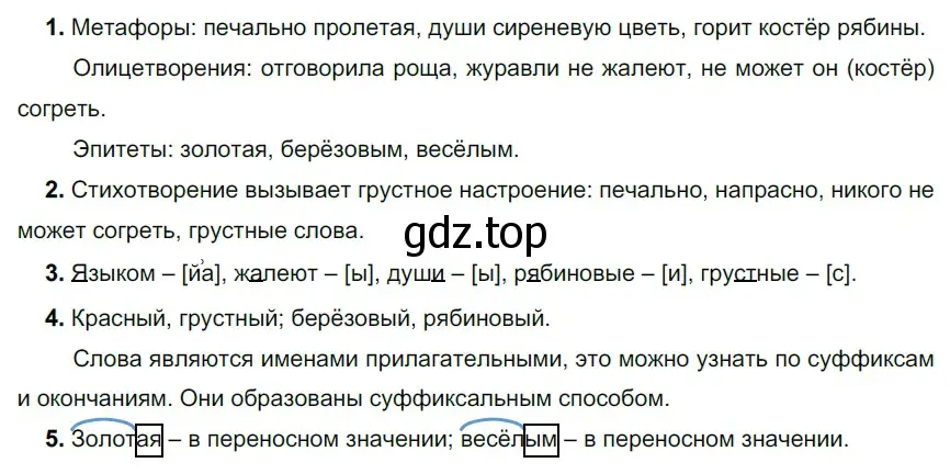 Решение 2. номер 317 (страница 104) гдз по русскому языку 5 класс Разумовская, Львова, учебник 1 часть