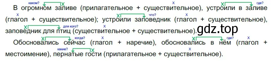 Решение 2. номер 402 (страница 16) гдз по русскому языку 5 класс Разумовская, Львова, учебник 2 часть