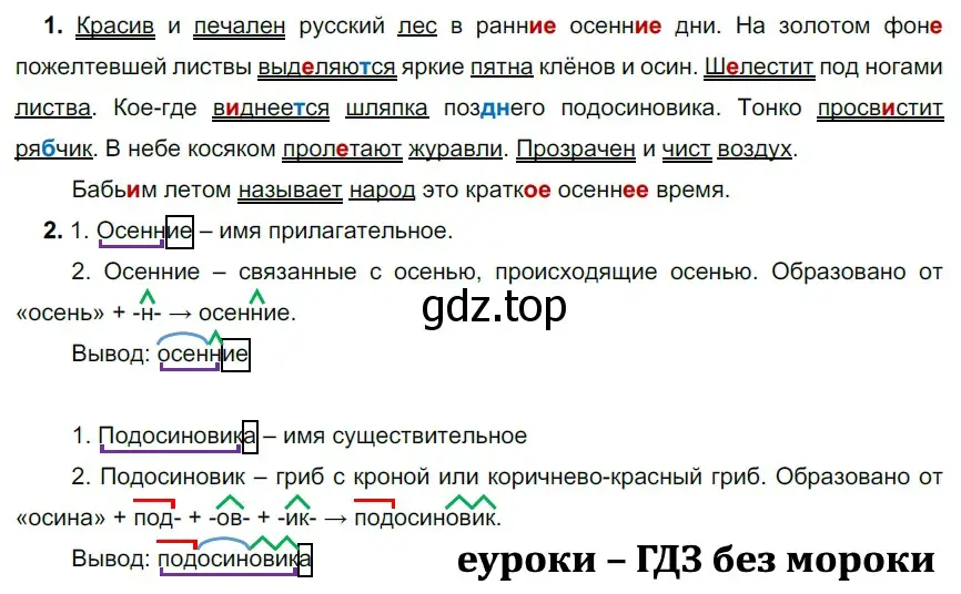 Решение 2. номер 427 (страница 23) гдз по русскому языку 5 класс Разумовская, Львова, учебник 2 часть