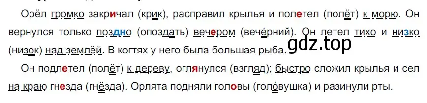 Решение 2. номер 462 (страница 33) гдз по русскому языку 5 класс Разумовская, Львова, учебник 2 часть