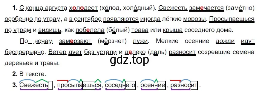 Решение 2. номер 463 (страница 34) гдз по русскому языку 5 класс Разумовская, Львова, учебник 2 часть