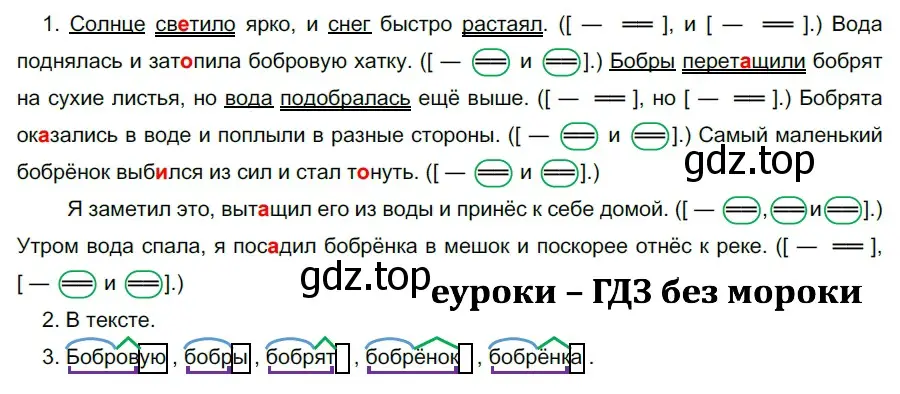 Решение 2. номер 509 (страница 46) гдз по русскому языку 5 класс Разумовская, Львова, учебник 2 часть