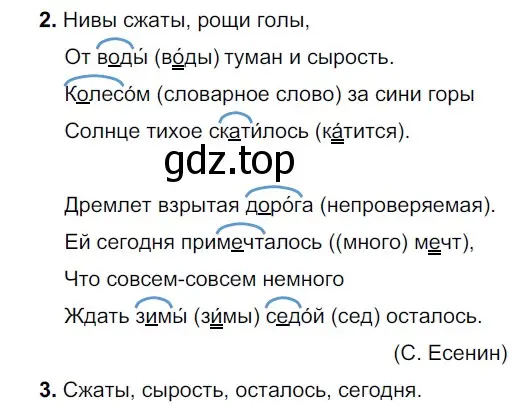 Решение 2. номер 58 (страница 26) гдз по русскому языку 5 класс Разумовская, Львова, учебник 1 часть