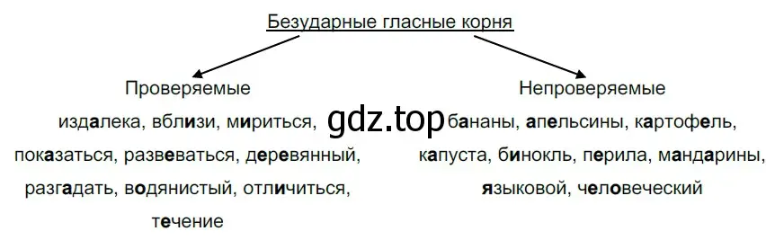 Решение 2. номер 61 (страница 27) гдз по русскому языку 5 класс Разумовская, Львова, учебник 1 часть