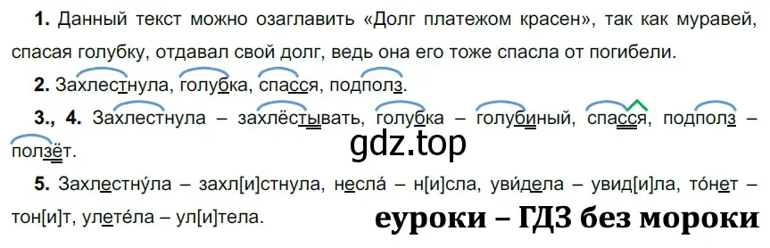 Решение 2. номер 64 (страница 28) гдз по русскому языку 5 класс Разумовская, Львова, учебник 1 часть