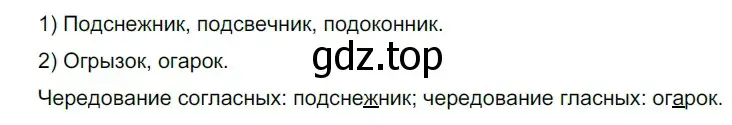 Решение 2. номер 696 (страница 106) гдз по русскому языку 5 класс Разумовская, Львова, учебник 2 часть