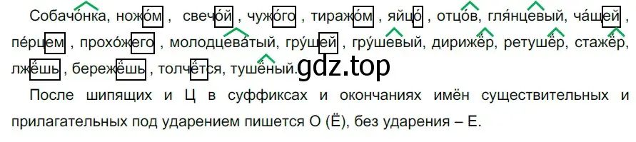 Решение 2. номер 707 (страница 109) гдз по русскому языку 5 класс Разумовская, Львова, учебник 2 часть