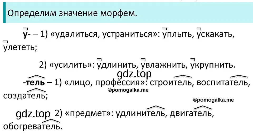 Решение 3. номер 110 (страница 41) гдз по русскому языку 5 класс Разумовская, Львова, учебник 1 часть