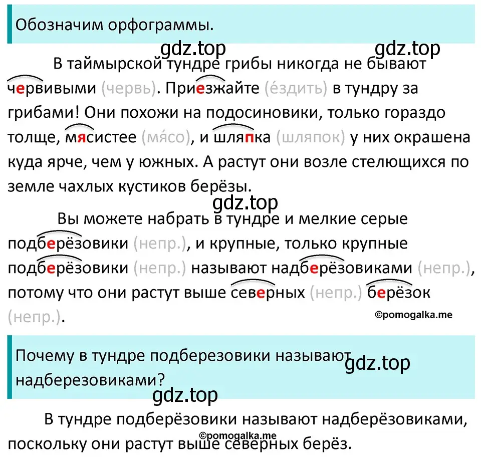 Решение 3. номер 111 (страница 41) гдз по русскому языку 5 класс Разумовская, Львова, учебник 1 часть